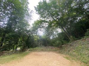 a dirt road in the middle of a forest at うさぎのキャンプ広場 in Oguni