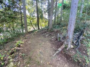 a dirt trail in the woods with trees at うさぎのキャンプ広場 in Oguni