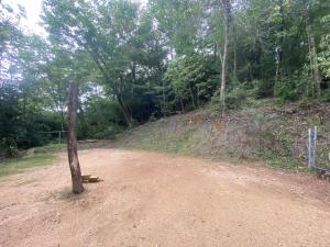 a dirt road in the middle of a forest at うさぎのキャンプ広場 in Oguni +5 photos