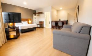 a living room with a bed and a couch and a tv at Apartamento no Hotel Prinz in Joinville