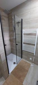 a shower with a glass door in a bathroom at Apartmán U splavu Luhačovice in Luhačovice
