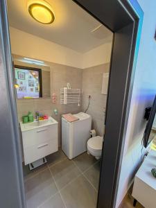 a bathroom with a toilet and a sink at Barevný úlet - Písek in Písek