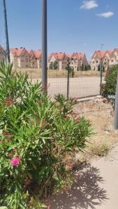 a bush with pink flowers in front of a fence at Bonnes vacances in Ifrane +2 photos