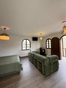 a living room with two green couches and a tv at uBa Vineyard Stay con vistas al Miño Ribeira Sacra in Chantada