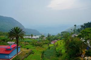 ein kleines Dorf mit einer Palme und einem Berg in der Unterkunft MSResort in Haputale