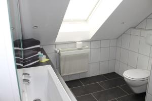 a bathroom with a toilet and a skylight at Hermann Ferienwohnung in Wechingen +32 photos