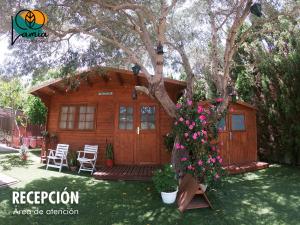 a log cabin with a tree in the yard at Chalets en Sancti Petri in Novo Sancti Petri