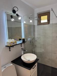 ein Badezimmer mit Waschbecken und Glasdusche in der Unterkunft Avenue in Arad