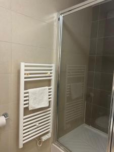 a shower with a glass door and a towel rack at Le petit studio du Gard in Remoulins