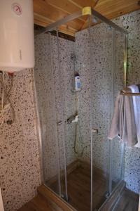 a shower with a glass door in a bathroom at Riverside Apartment in Nikšić