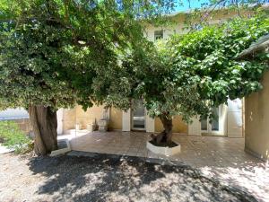 a couple of trees in front of a building at Appart dans bâtisse provençale in Sorgues