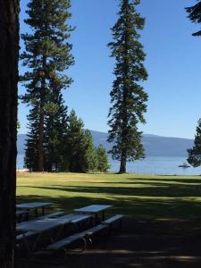 a group of picnic tables in the grass near the water at Luxury Cabin on Golf Course / Private Spa & Launch in Prattville
