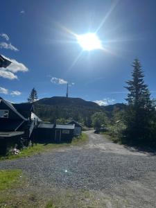 a dirt road with the sun in the sky at Knutehytta in Kongsberg