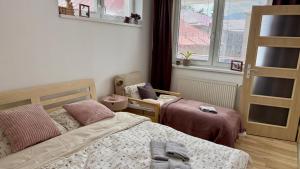 a bedroom with two beds and a window at Šturka Apartment in Martin