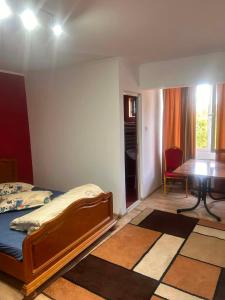 a bedroom with a bed and a desk and a table at Pensiunea Selena Bascov-Pitesti in Bascov