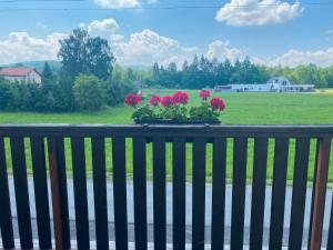 a balcony with a planter with pink flowers on it at Penzion Kolovna in Dobrá