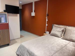 a bedroom with a bed and a flat screen tv at Résidence les maquis in Koungou