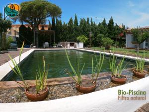 a pool of water with plants in pots at Chalets en Sancti Petri in Novo Sancti Petri