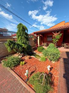 a garden in front of a house at Vila Patricia in Eforie Sud