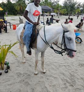 a young boy riding a white horse on the beach at L'île de Marie-Jo in Assinie