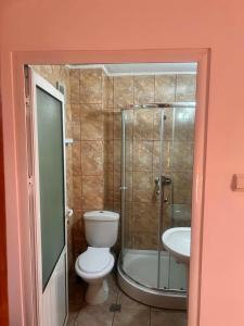 a bathroom with a toilet and a shower and a sink at Pensiunea Selena Bascov-Pitesti in Bascov +21 photos