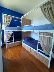 two bunk beds in a room with blue walls and wooden floors at La Pépite in Sénac