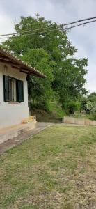 a house with a green window and a yard at Medlar apartments in Zambrone