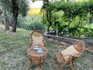 a wicker table and two chairs with cups on it at Medlar apartments in Zambrone