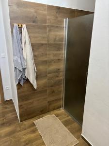 a shower stall with towels hanging on a wall at Apartmán REBEKA in Holíč +25 photos