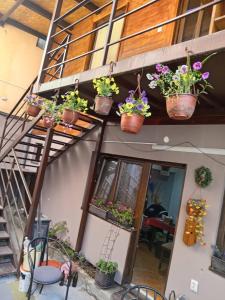 a patio with potted plants on the side of a building at Centar in Valjevo