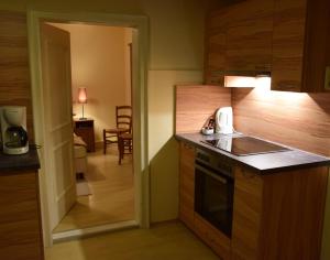 Köök või kööginurk majutusasutuses Ferienwohnung Fürstenbrunn