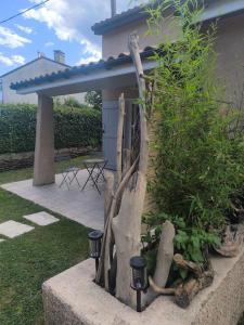 a piece of driftwood in a garden in front of a house at Le Cocon des Acacias in Tournon-sur-Rhône