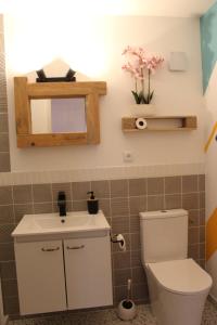 a bathroom with a toilet and a sink and a mirror at Le Cocon des Acacias in Tournon-sur-Rhône