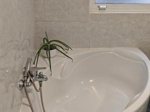 a plant sitting on top of a white bath tub at Apartamento Leal Ferrol in Ferrol