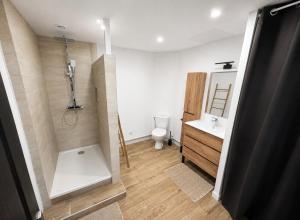 a bathroom with a shower and a toilet and a sink at Le cocon Portelois in Le Portel