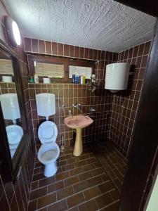 a bathroom with a toilet and a sink at SaDa Riverside in Apatin
