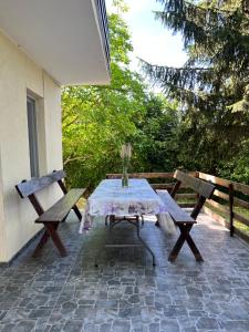 a picnic table and two benches on a patio at Kuća Sarić, Gružansko jezero in Žune