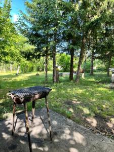 a stool sitting on the ground in a park at Kuća Sarić, Gružansko jezero in Žune