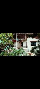 a white building with trees in front of it at krishna suraj villa in Chikalda