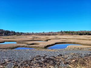 a marshy field with two pools of water at Seascape Serenity with Epic Coastal Views! in Lubec