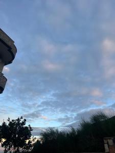 a blue cloudy sky with a tree in the foreground at Hotel Piqeras Kris in Piqeras