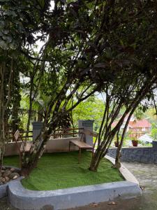 a bench sitting under two trees in a park at Koyiloth house by intertrip in Kalpetta