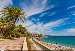 a beach with a palm tree and the ocean at Lola's Sanremo Centro in Sanremo