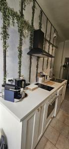 a kitchen with a counter with plants on the wall at Lola's Sanremo Centro in Sanremo