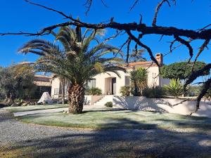 a palm tree in front of a house at Villa Marius in Albi