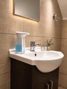 a bathroom with a white sink and a mirror at Vila Matt in Vama Veche