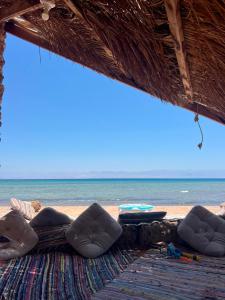 a beach with chairs and the ocean in the background at Marhaba Camp in Nuweiba +12 photos