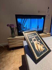 a room with a tv and a book on a couch at شالية ريفي الفندقي هادي وسط المدينة in Az Zulfi