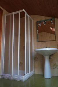 a bathroom with a shower and a sink and a mirror at Appartamento Villa Rendena in Porte di Rendena