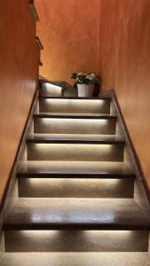 a stairway with a potted plant on top of it at B&b MAURO in Gioia Sannitica +1 photo